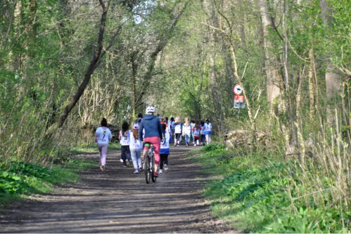 Kinder beim Lauf