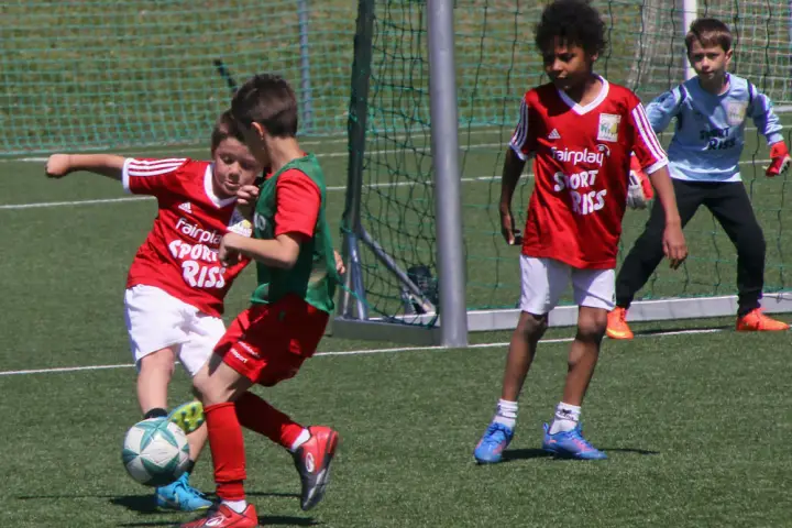 Miniliga 26